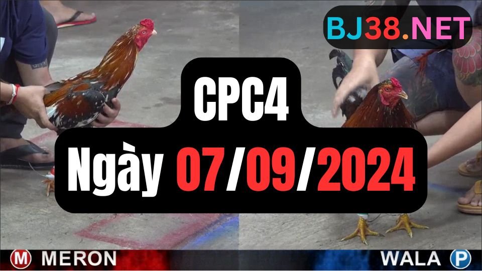 Trực tiếp đá gà thomo sảnh CPC4 data 07-09-2024